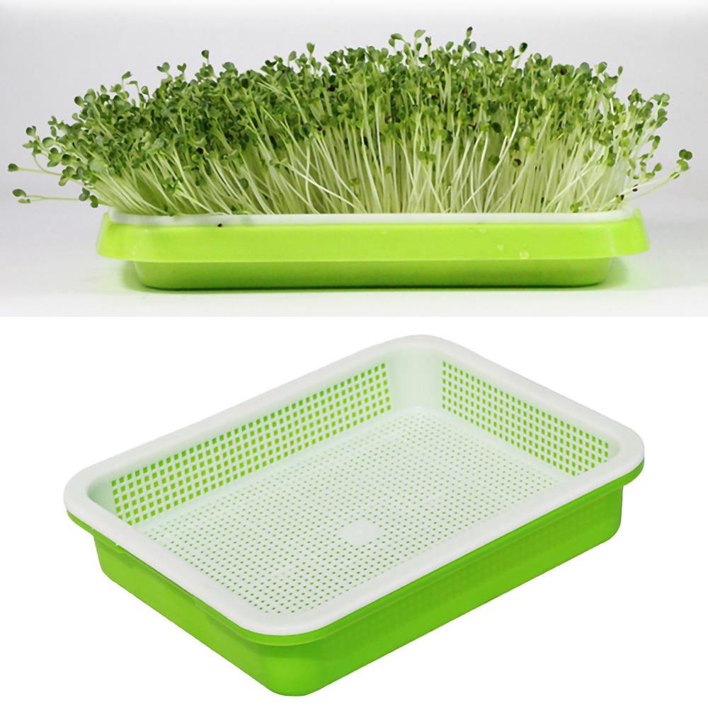 Balcony / Home Planting plate