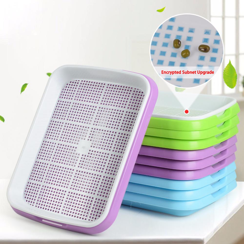 Balcony / Home Planting plate