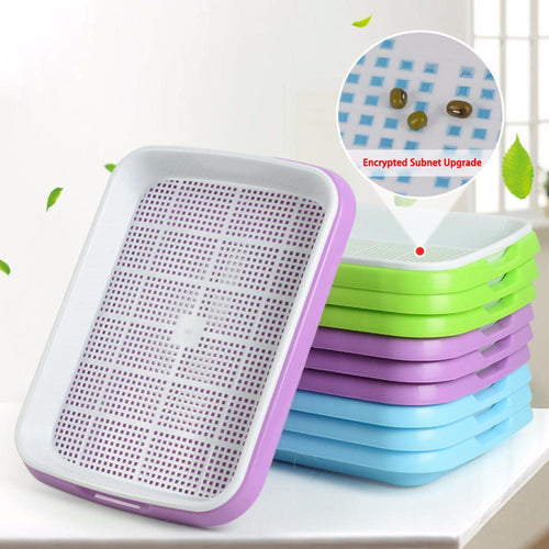 Balcony / Home Planting plate