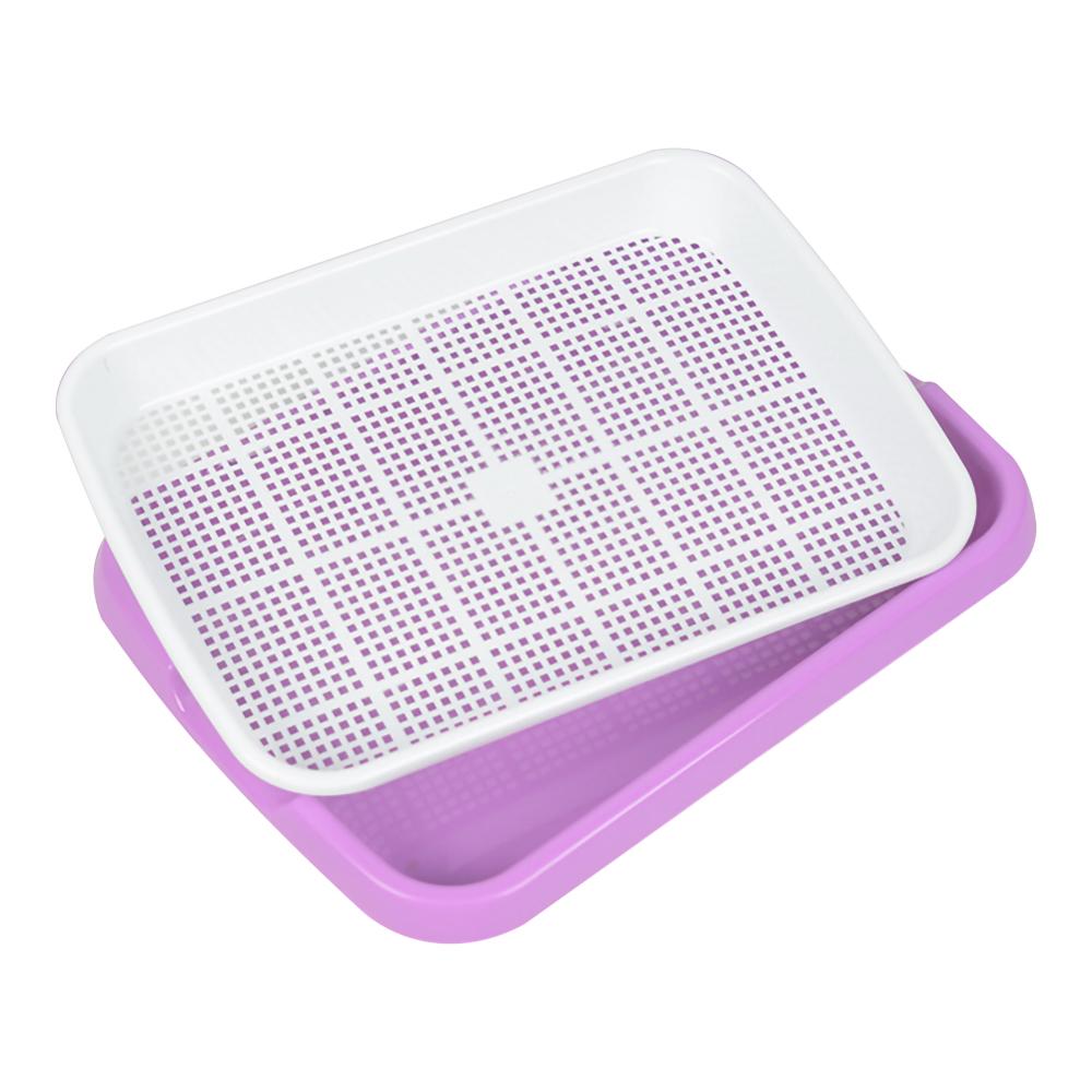 Balcony / Home Planting plate