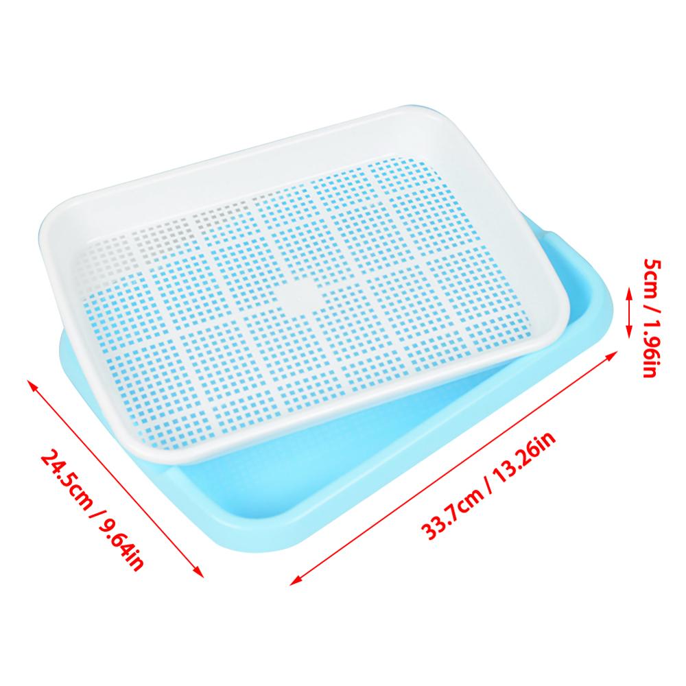 Balcony / Home Planting plate