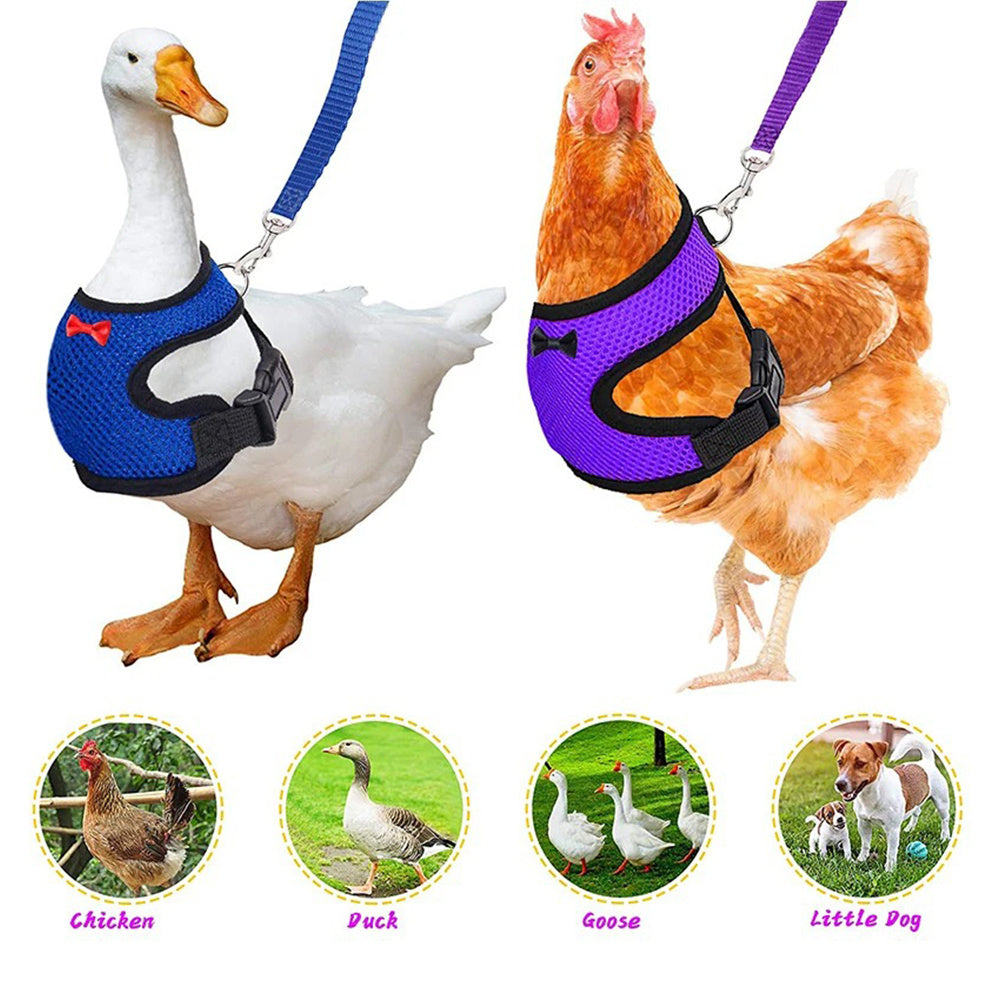 Pet Duck Chicken Poultry Chicken Clothes Chicken Vest