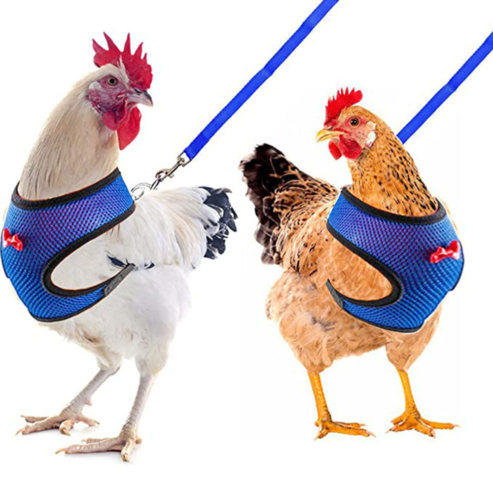Pet Duck Chicken Poultry Chicken Clothes Chicken Vest