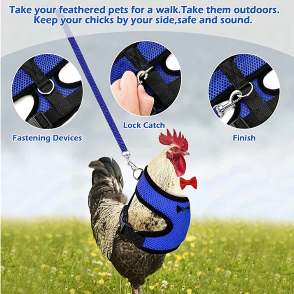 Pet Duck Chicken Poultry Chicken Clothes Chicken Vest